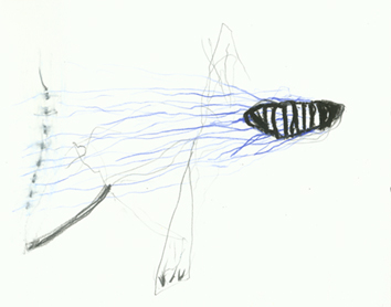&lsaquo;usus&rsaquo; street fish
